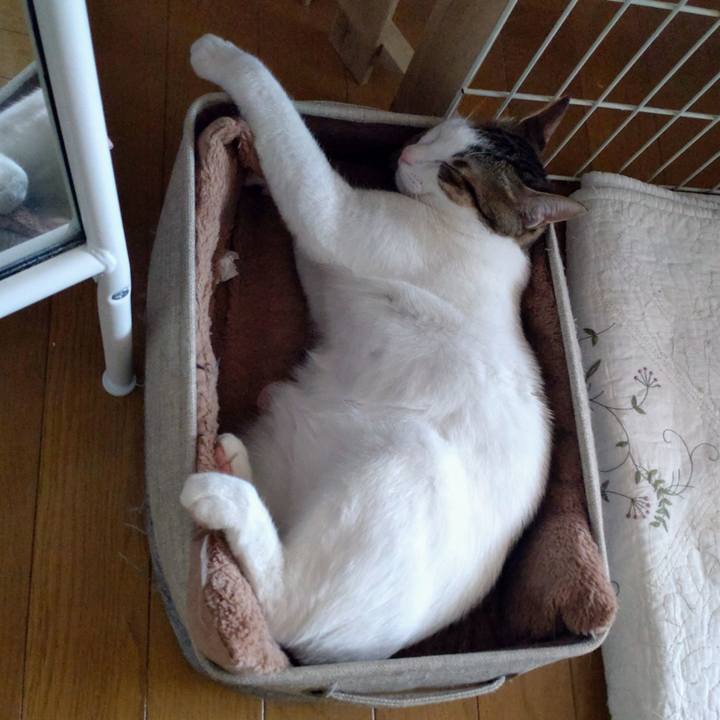 463e4cc1 d206 417f b77d dceb1e756076 1679290211010