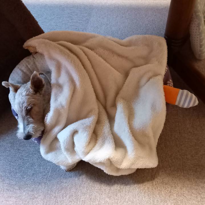 463e74ec 6e12 4a75 8173 76d9c395622c 1643068600187