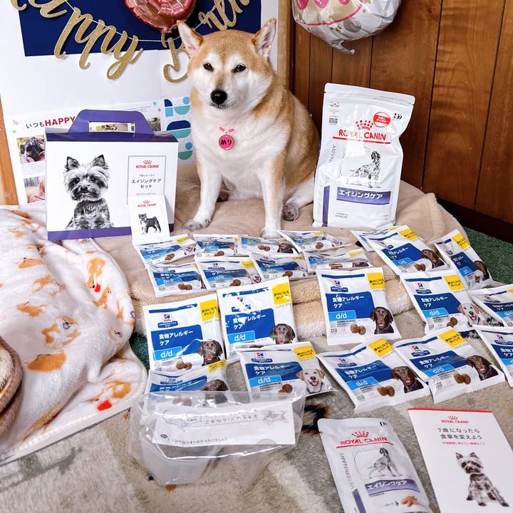 463e950a a43d 4966 8f16 516ff0b322a5 1667785867737