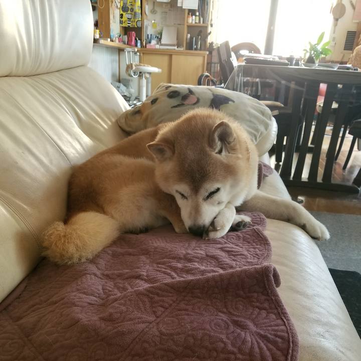 463ed6c9 d0a2 4c19 815a 5dedfaf4e61a 1752194512915