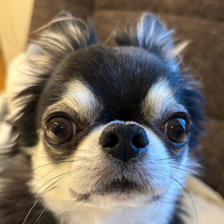 463f2d56 f708 4010 b27d 5879be35ede3 1735686150504