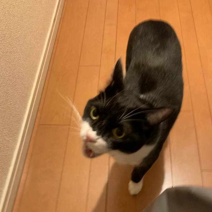 463f7a10 f3d0 4c0d 8b9f a114b2e879e2 1673083737513