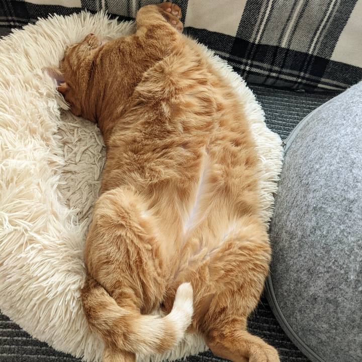 463f7cc6 a1b1 4fe8 ab72 caa6fb59fa5f 1659740327561