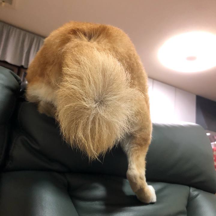 463fa69b 8848 40da a21f ac8eda4eb11c 1580128839996