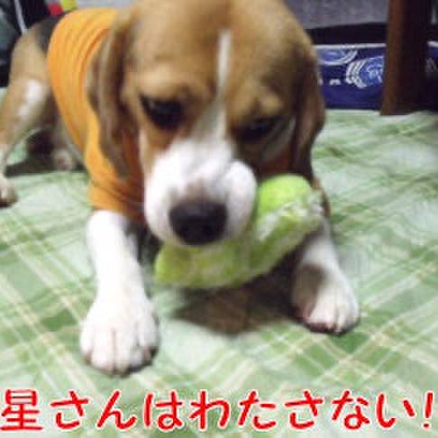 463fdc7b 0f91 4602 b6a9 3fcf8ab7a29c 1722719415434