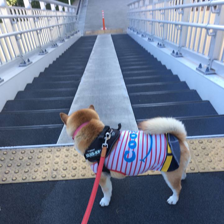 46400857 05dc 4da7 bac9 f6a54d3e42f8 1603603253316