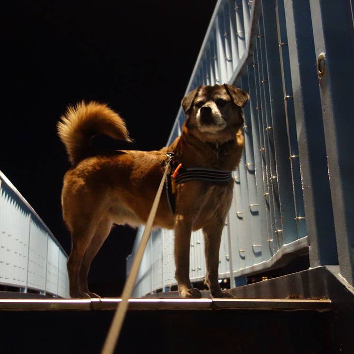 464023d3 5020 4ff7 9198 79fa67dee97f 1549105451817