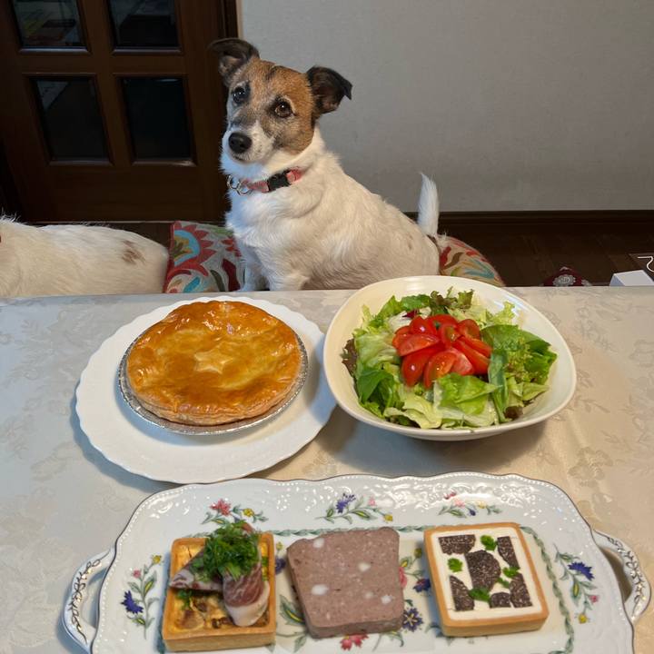 46404ab0 adb0 45e0 b5ce 6dd07a0f3e6a 1669897556305