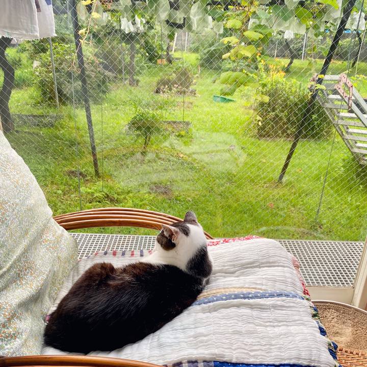 4640855f f959 45d4 a53e 2f769c7cf7ac 1595376365957