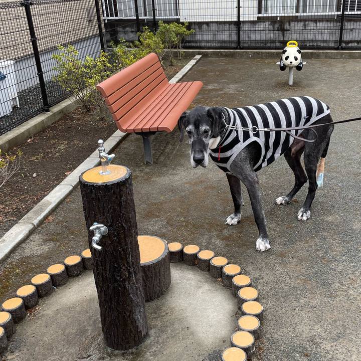 46409432 3893 4ba7 94d1 a1f72c2b7029 1645354364228