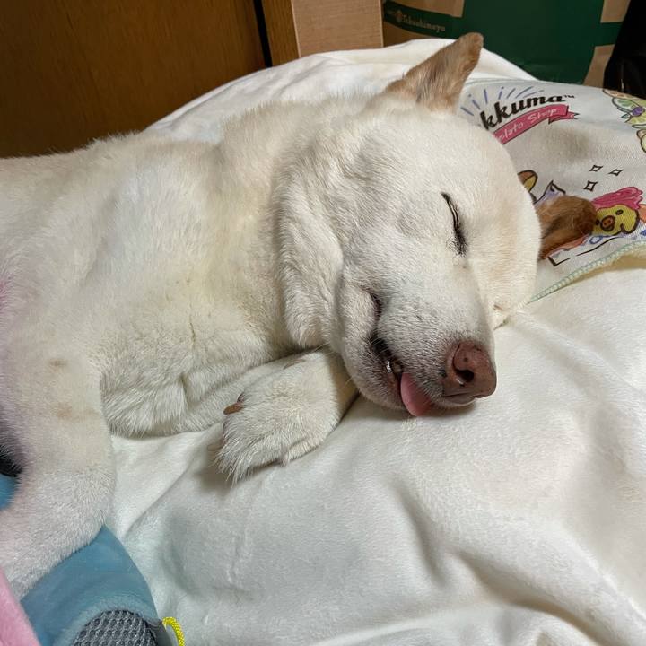 4640be03 d511 435d b4b8 b278bf5eb49a 1634026612572