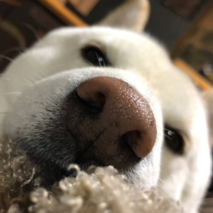 4640f295 c087 4e66 a55b 3d8d54e849b1 1576711008985