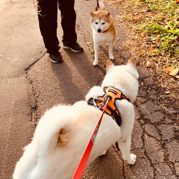 4640fa19 df01 4f57 914c 88d87a1bf2d6 1635200611511