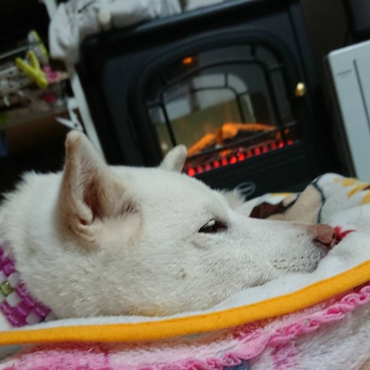 4640fb50 a0f5 4f03 8980 e33674d4d147 1604220850974