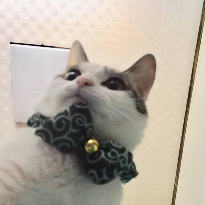 46410e00 988a 4d17 9267 58591824e06c 1529709210924