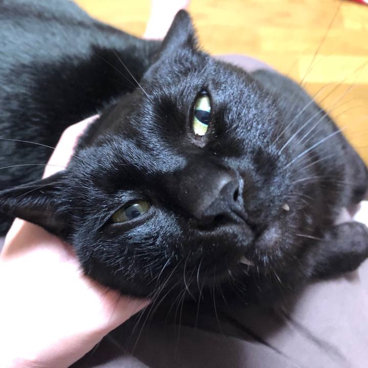 4641483c 4002 424f b885 addcff9fc984 1701775652379