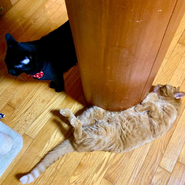 46416c25 a0ab 4528 bf3b a63ebfc05bb6 1629030376867