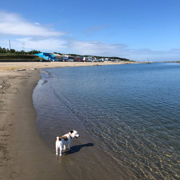 46417df0 753b 4578 8424 762f4a08111f 1592868752604