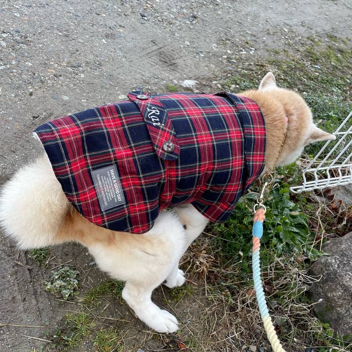 46418f3c 7413 44b9 be6e 000a19ea44fb 1676940471680