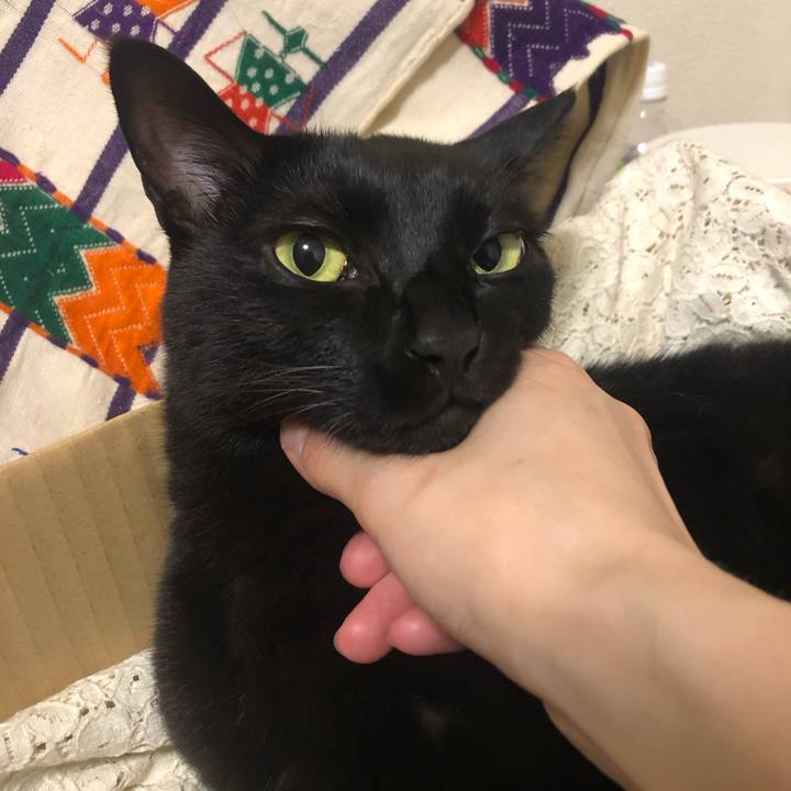 4641a7db 9269 47f3 91c9 e1bb306d74cf 1599663880498