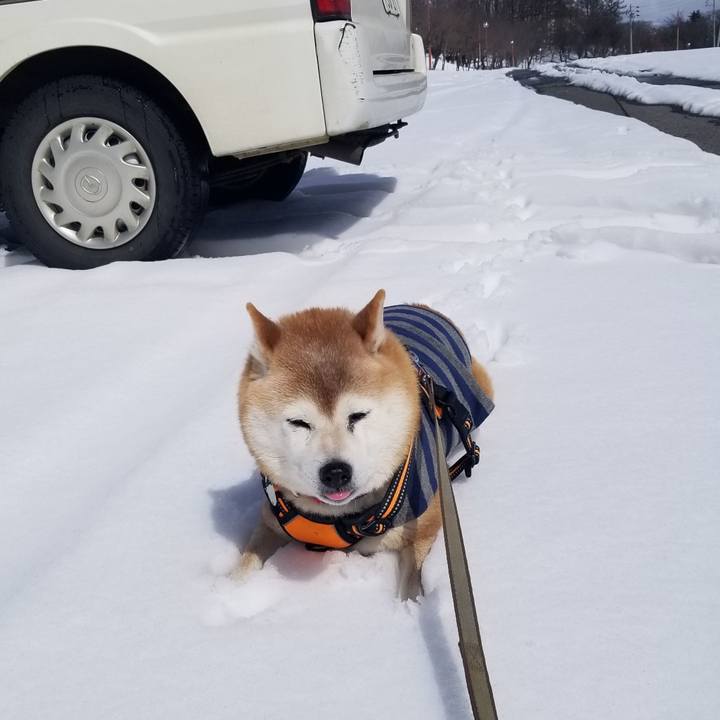 4641c572 8260 4e72 b468 c5596543e652 1709779123606