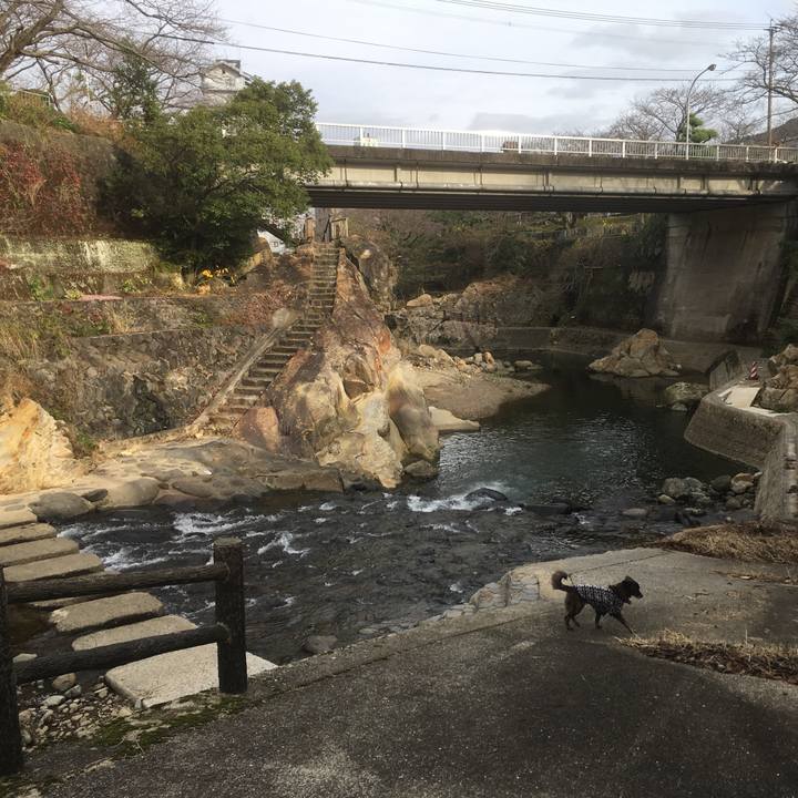 4641cbcf a099 4d88 959f 30a02c8557cc 1544698183382