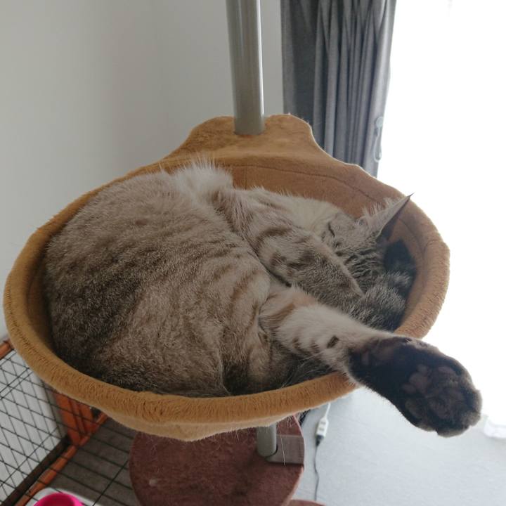 4641d170 6762 4a7b b262 889e641c6e65 1529816096608