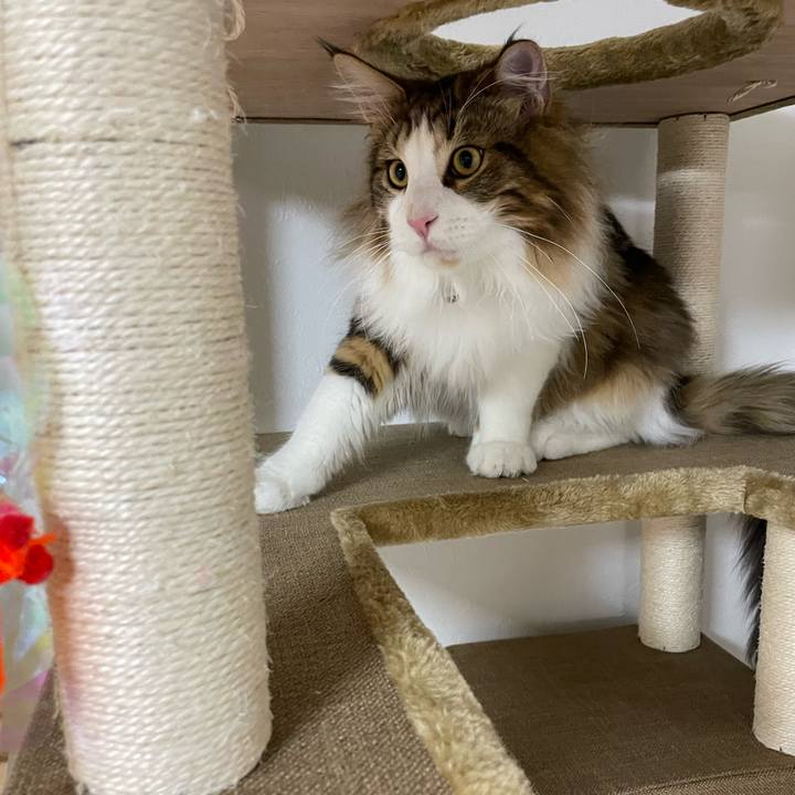 4641f3ec f6d5 4838 8ba5 078f87ef62ad 1643498513432