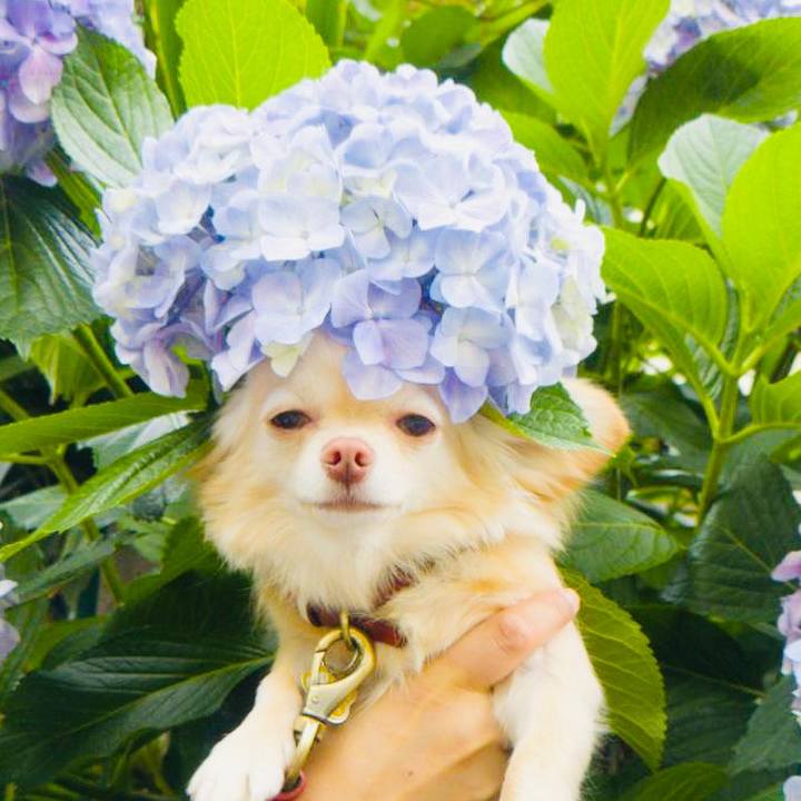 46421a48 f7f6 4e37 b69d 0e801c8d1791 1655029021705