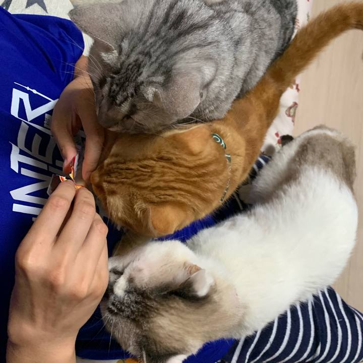 46426489 62f5 4c76 9a6f 496892d6fc9c 1567642001227