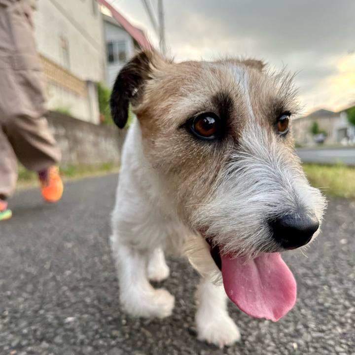 46428c55 7805 476b a789 562067c090b3 1687691289971