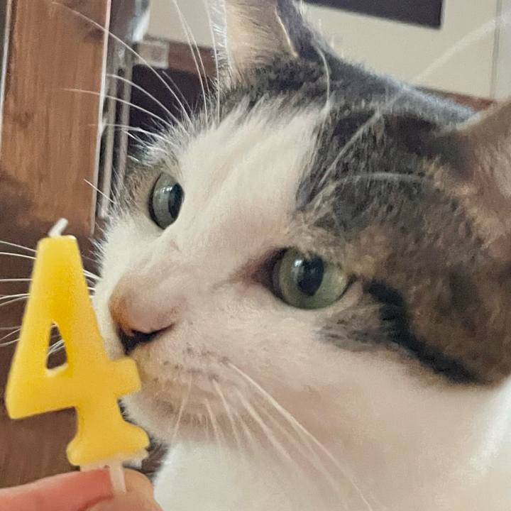 4642a4ca 808f 4774 b0dc 82db6a3a1a0c 1764066544903