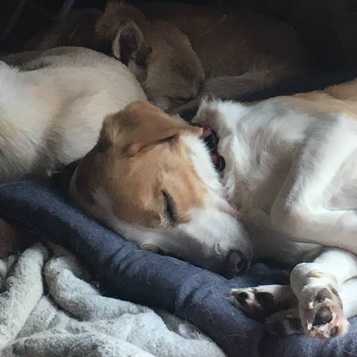 4642b3b5 56de 4003 94e3 2840a632295c 1514711500136