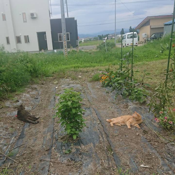 4642caa9 0bbc 4792 bc1c 3e0550311720 1660965644361