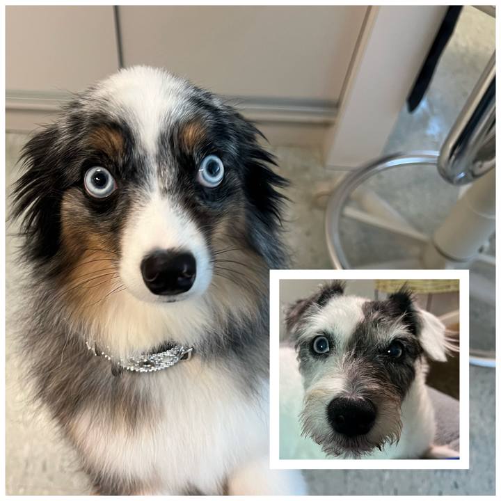 4642e798 411f 42d6 9f49 4d024687c3ff 1723066952902