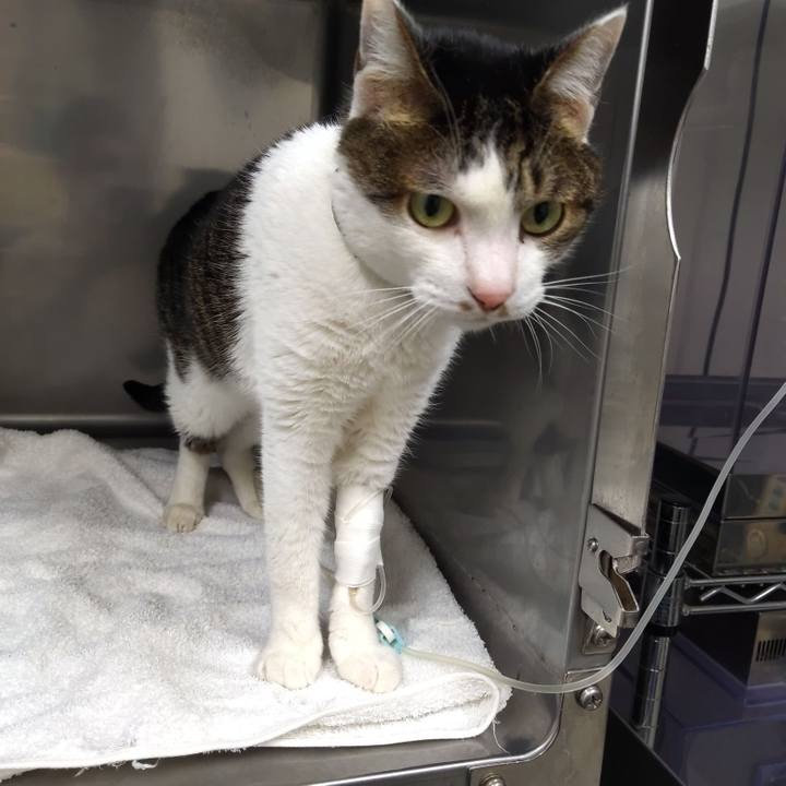 464330be 15a7 4532 abab 6118ef1df65e 1764835439121