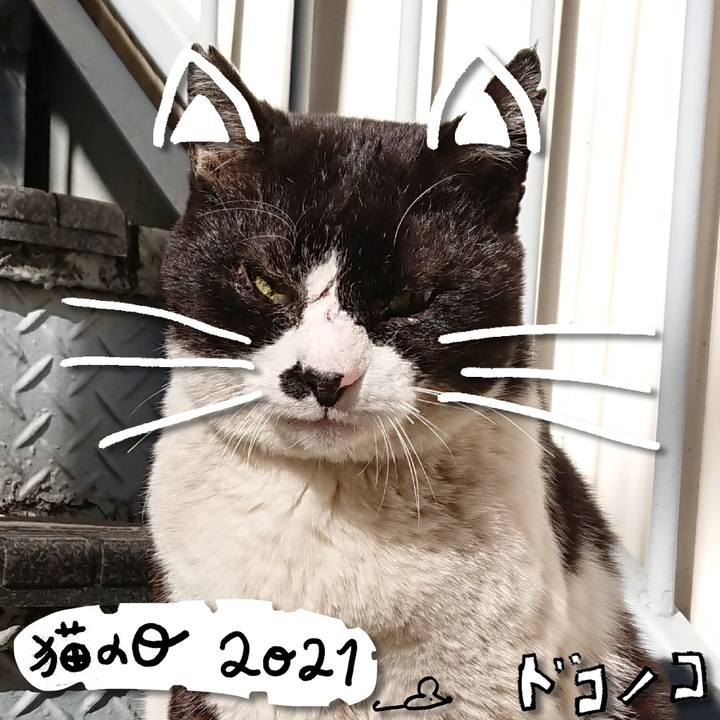 46434e25 c0eb 4ae1 8a53 d469e8ef4d92 1613986021934