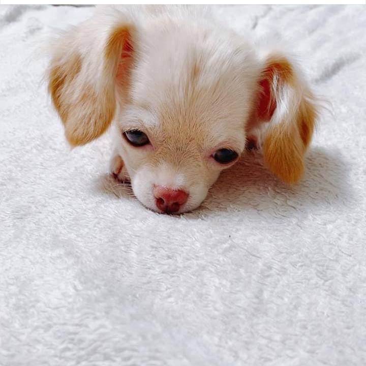 464351c4 e06f 4a0d bac2 e78b24dd7efb 1657534984665