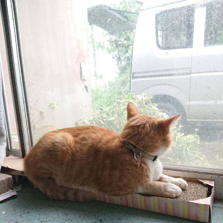 46436767 595b 4056 b7c7 9ae3bd36f0b1 1596863844713