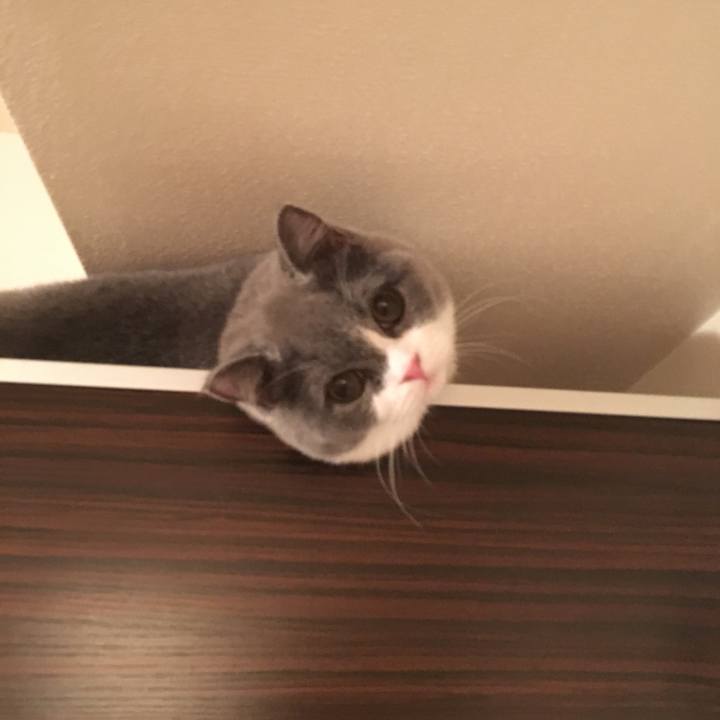 46438b6b 2666 41b6 a328 8a8eba83a74a 1508854671147