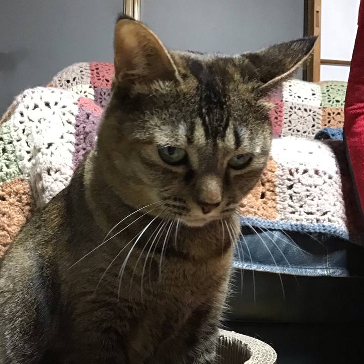 46439813 02d6 4f22 b80f e8f1f816b515 1700224169224