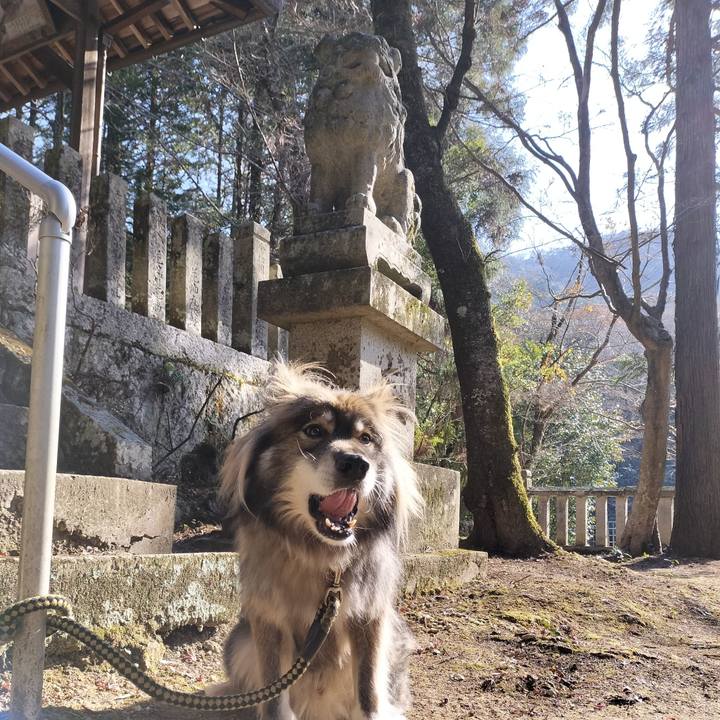 4643b700 d8f1 4629 91e2 947140c03aad 1672544599472