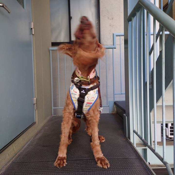 4643e6bc 3514 4f97 8e05 77939d2b3dda 1715909350833