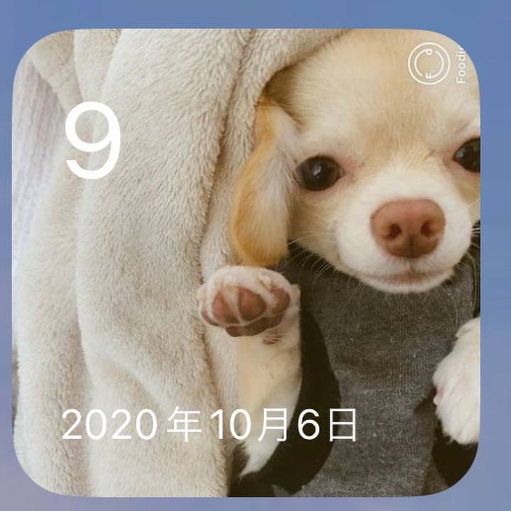 4643f5f6 60ef 4796 8025 98cefbe2d205 1696834595184