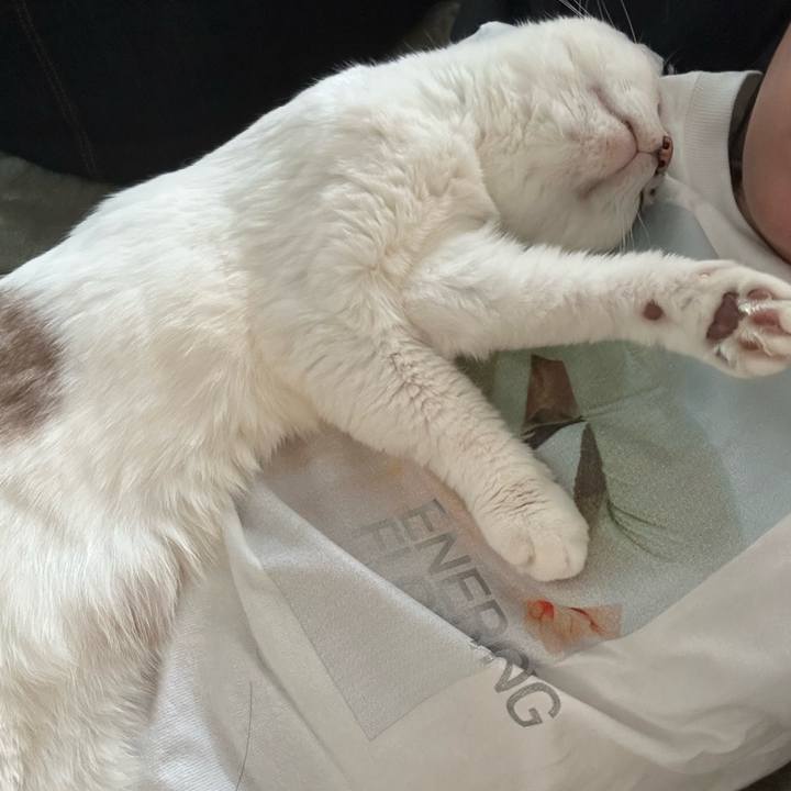 46440487 fd66 4c9e 8b5f 68fb90ed6aa1 1745758369231