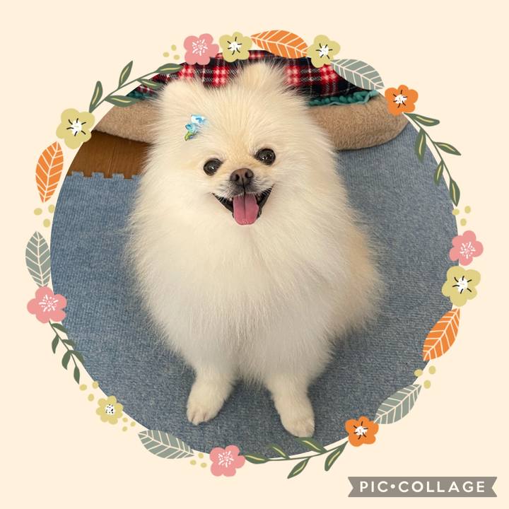 46443b9b b226 4b37 82f2 c1dd9db21394 1632198435322