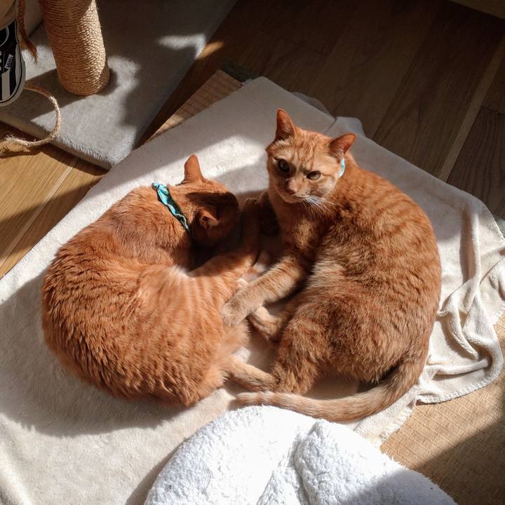 4644a094 20f3 42b2 89ad 0fa55858cc1e 1740832649850