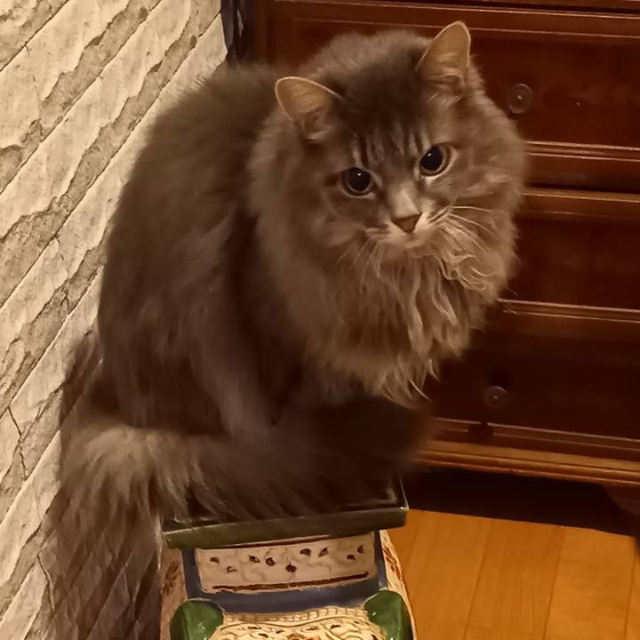 4644bf50 de04 4718 a198 a2b577e787b3 1636166851208