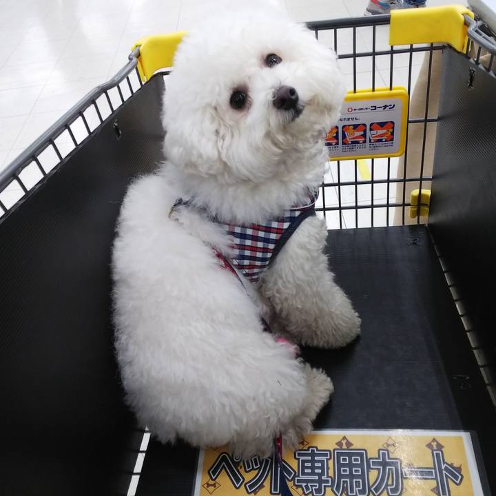 4644ce6b 35fa 4f8a adfc 93a5e803ef94 1524713731326