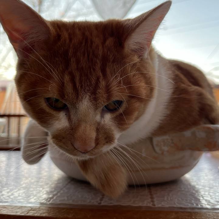 4644ddc2 3009 46bf a54b 85292b9937e6 1673563080123